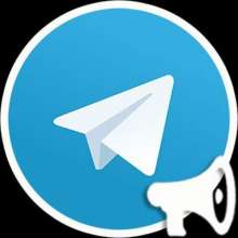 ТОП каналов Telegram