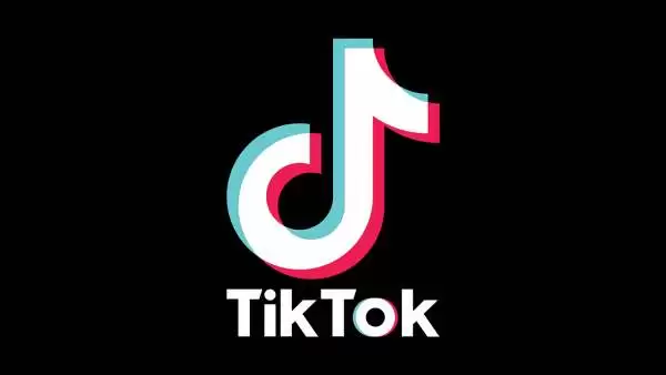 TikTok Grabber / Скачать видео из TikTok